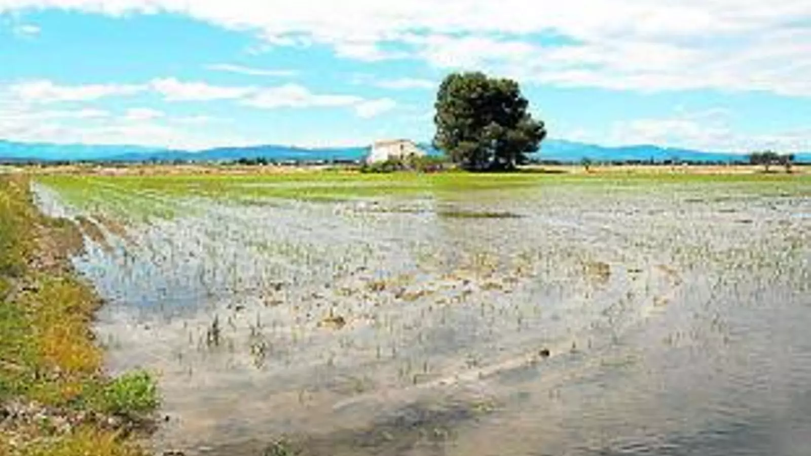 El PP català assegura que el projecte de l’Estat “garanteix el futur del Delta”.