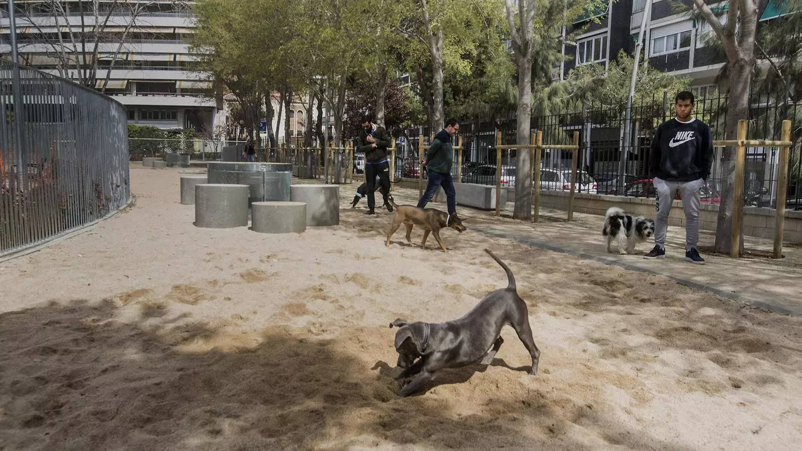 Els gossos ja no són benvinguts al Turó Park