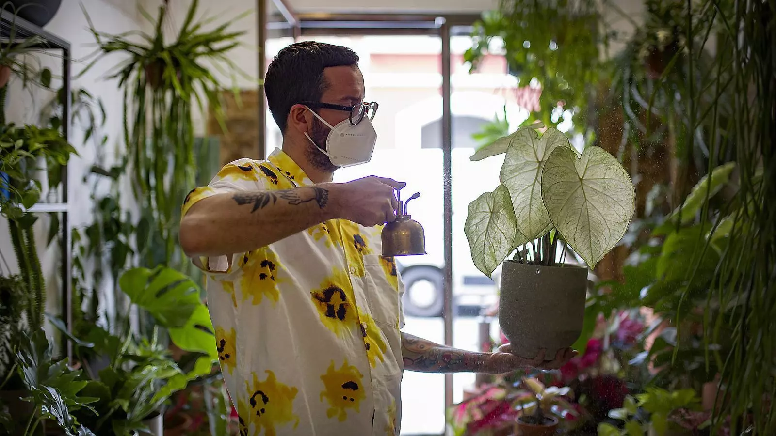 A la primera i a l’última foto, alguns dels trucs que proposen des de Casa Protea. Al mig, una dona cuidant una orquídia.