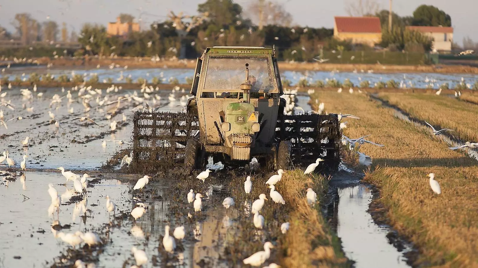 “L’única cosa bona que tenim al Delta és l’aigua dolça”