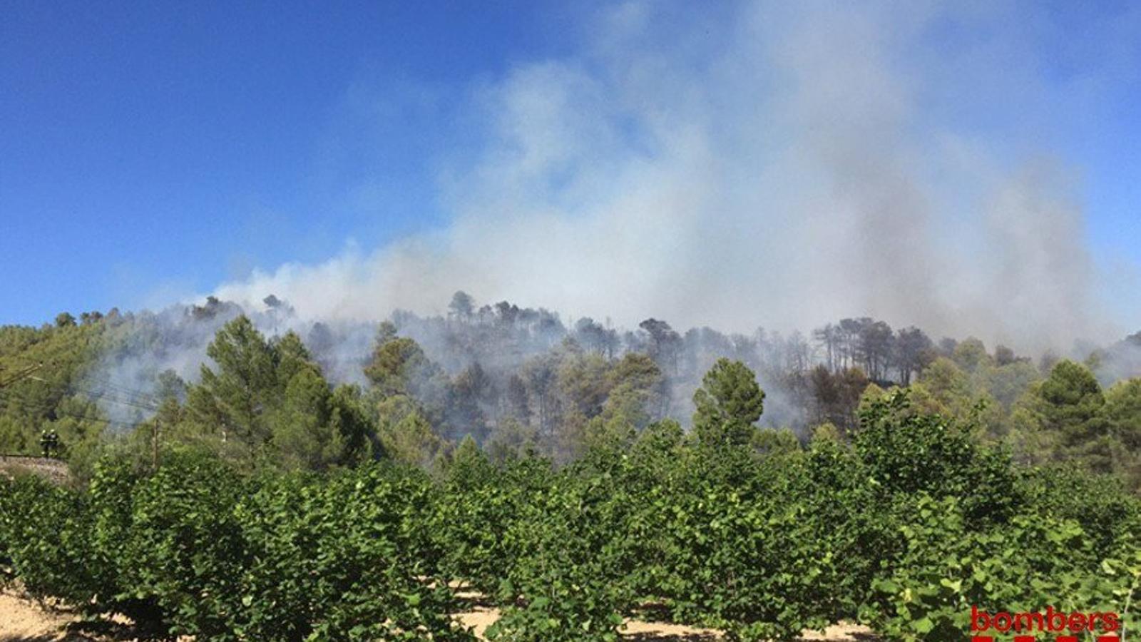 Els bombers treballen per controlar un incendi forestal a Pradell de la Teixeta.