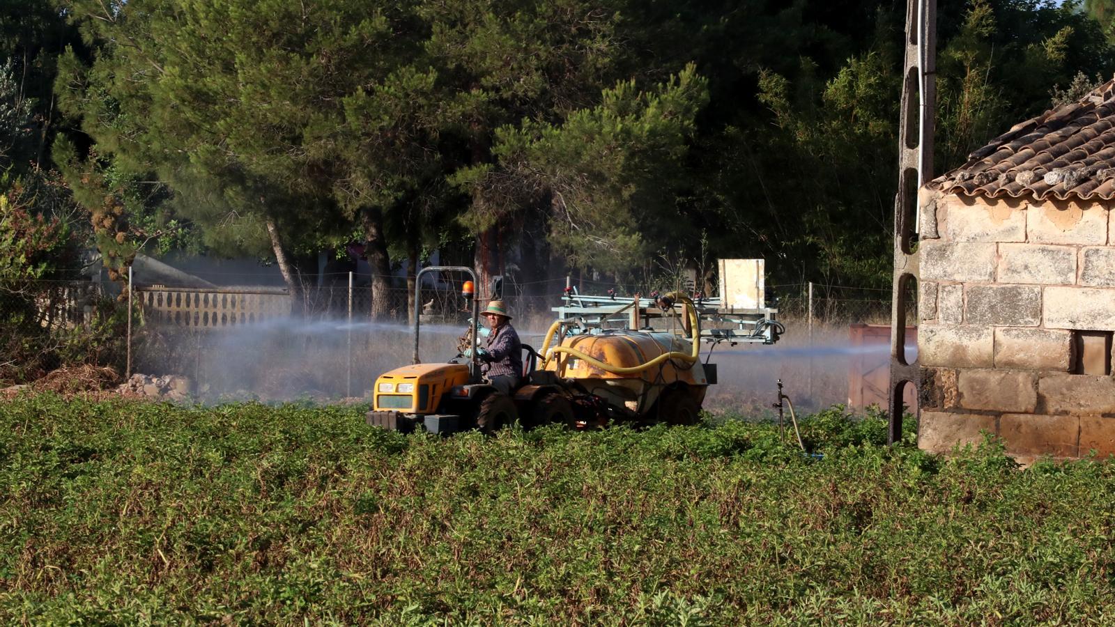 By 2024, organic farming will increase by nearly 4,000 hectares.