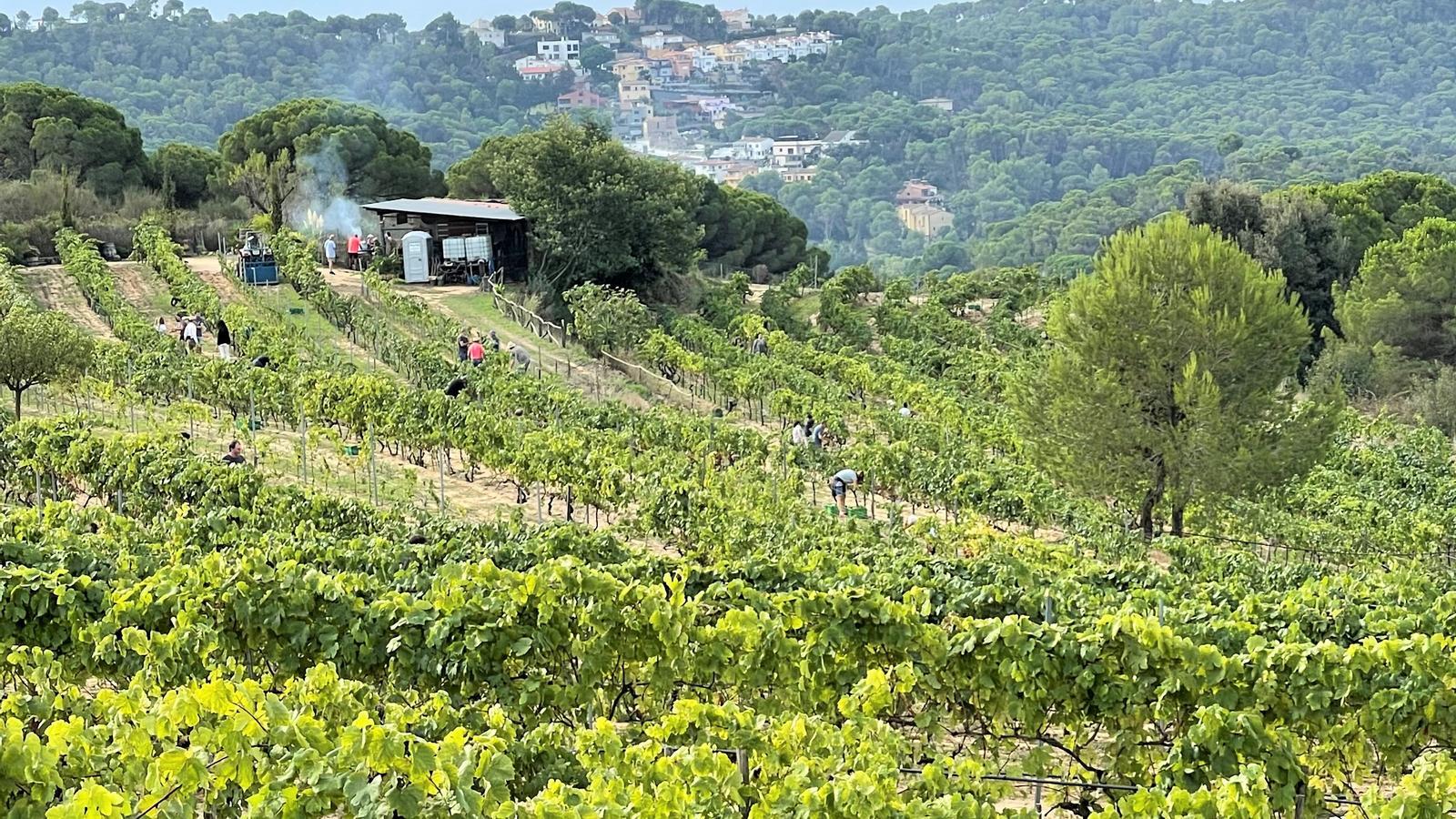 La finca de Cal Correu, amb vistes al mar, ocupa tres hectàries entre els termes de Blanes i Lloret.
