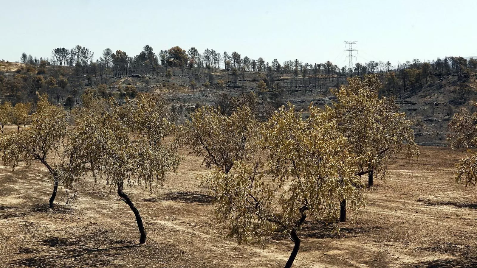 Els Bombers van sufocar ahir dues noves revifalles de l’incendi, que esperen donar per extingit en les pròximes hores.