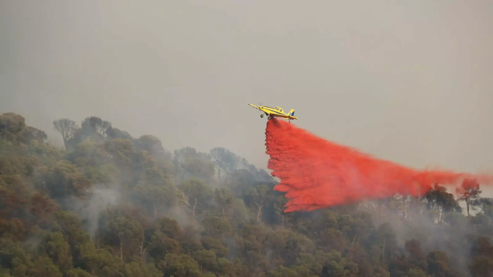 L’incendi d’un vehicle provoca un foc descontrolat a l’Anoia