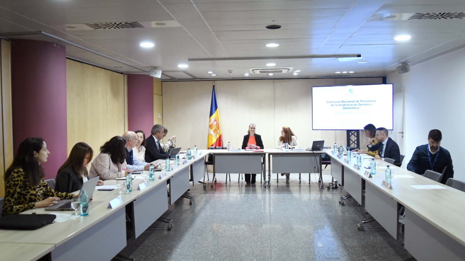 La 19a reunió de la Comissió Nacional de Prevenció de la Violència de Gènere i Domèstica (CONPVGD).