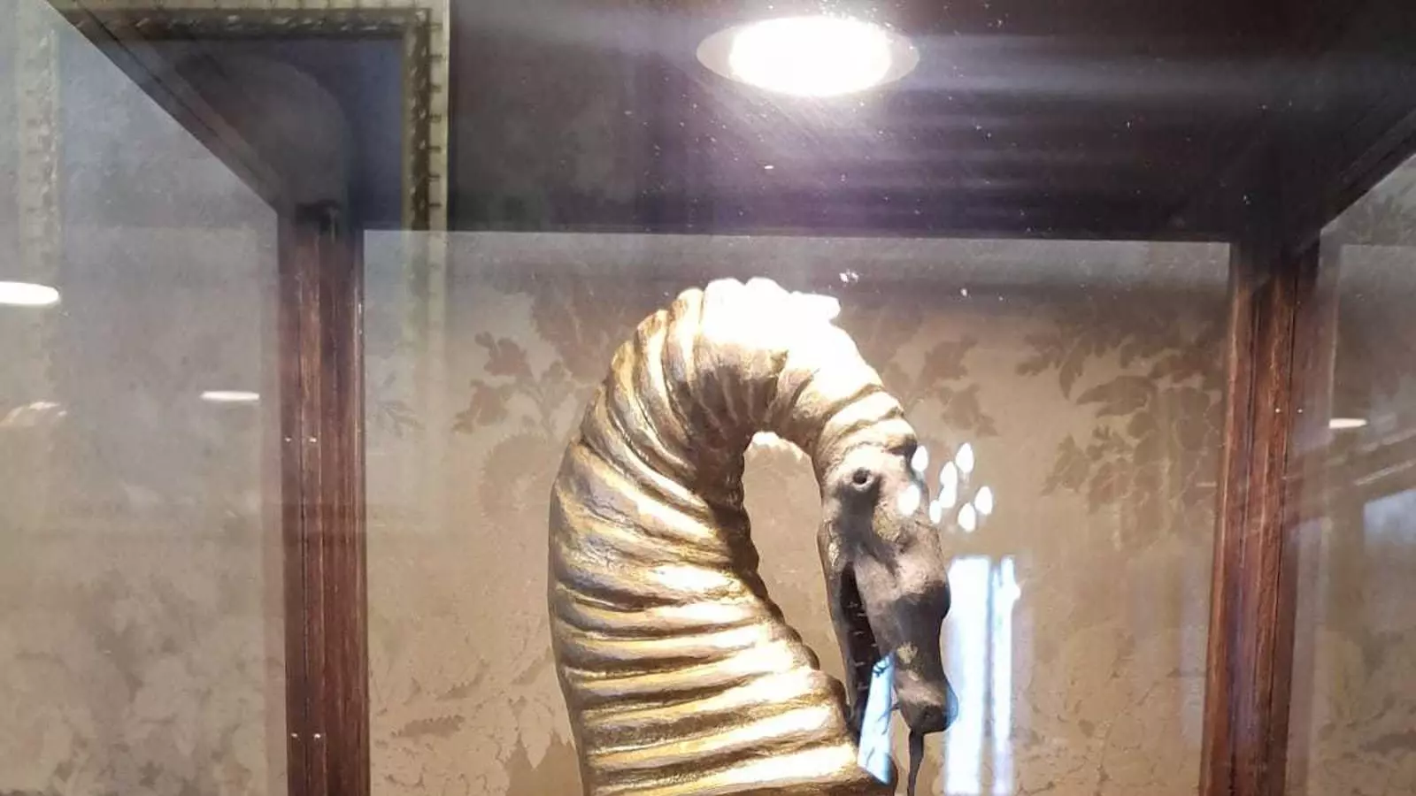 Cimera restaurada per l'Ajuntament de Palma