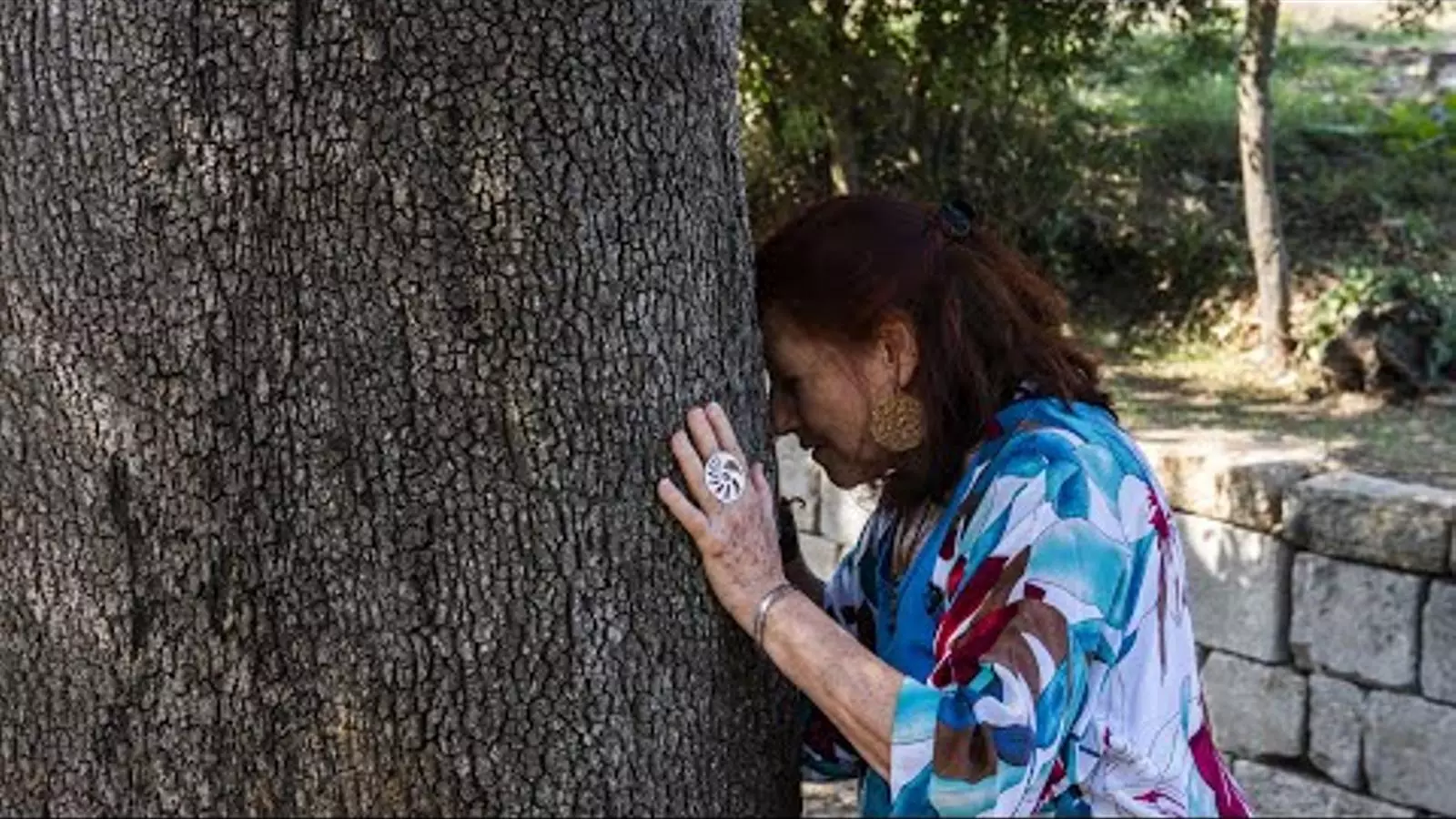 Una fundació al bosc, el llegat de Balcells