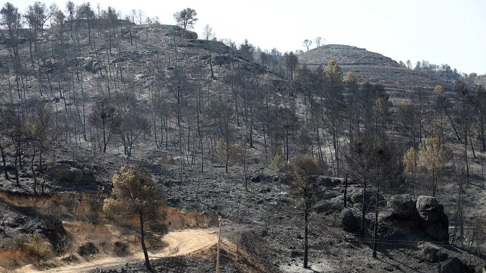 Una zona totalment calcinada