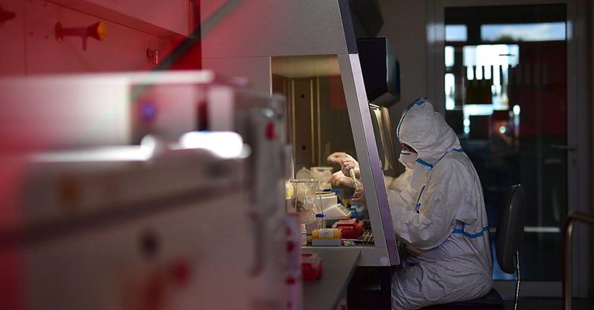 New COVID Variant: WHO Concerns & Updates