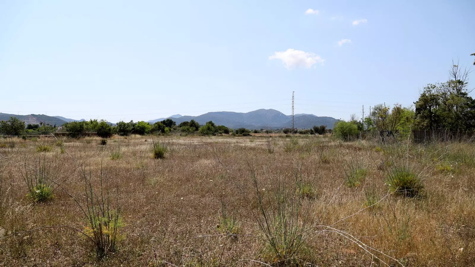 El terreny de Son Ripollet on Sampol construirà el parc fotovoltaic.