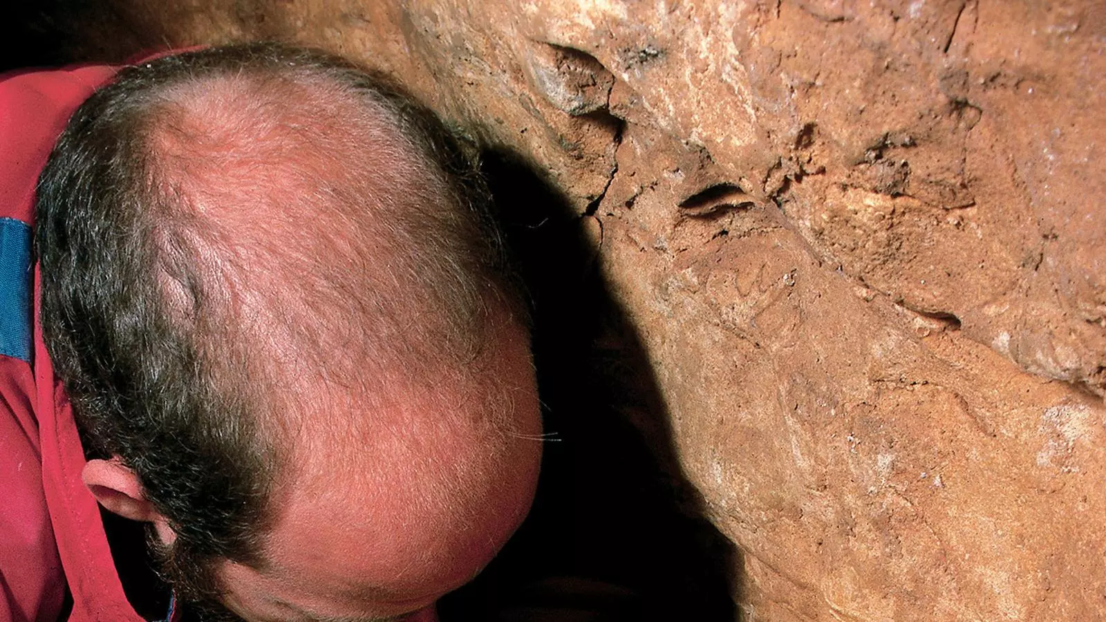 Un dels cranis trobats en una excavació a la Sima de los Huesos d’Atapuerca.