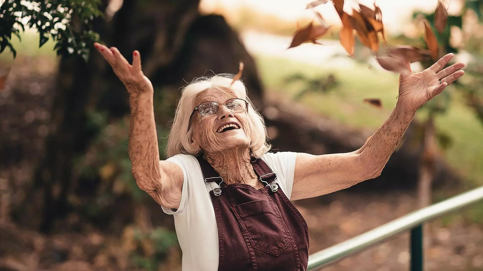L'Alzheimer, la malaltia de l'oblit