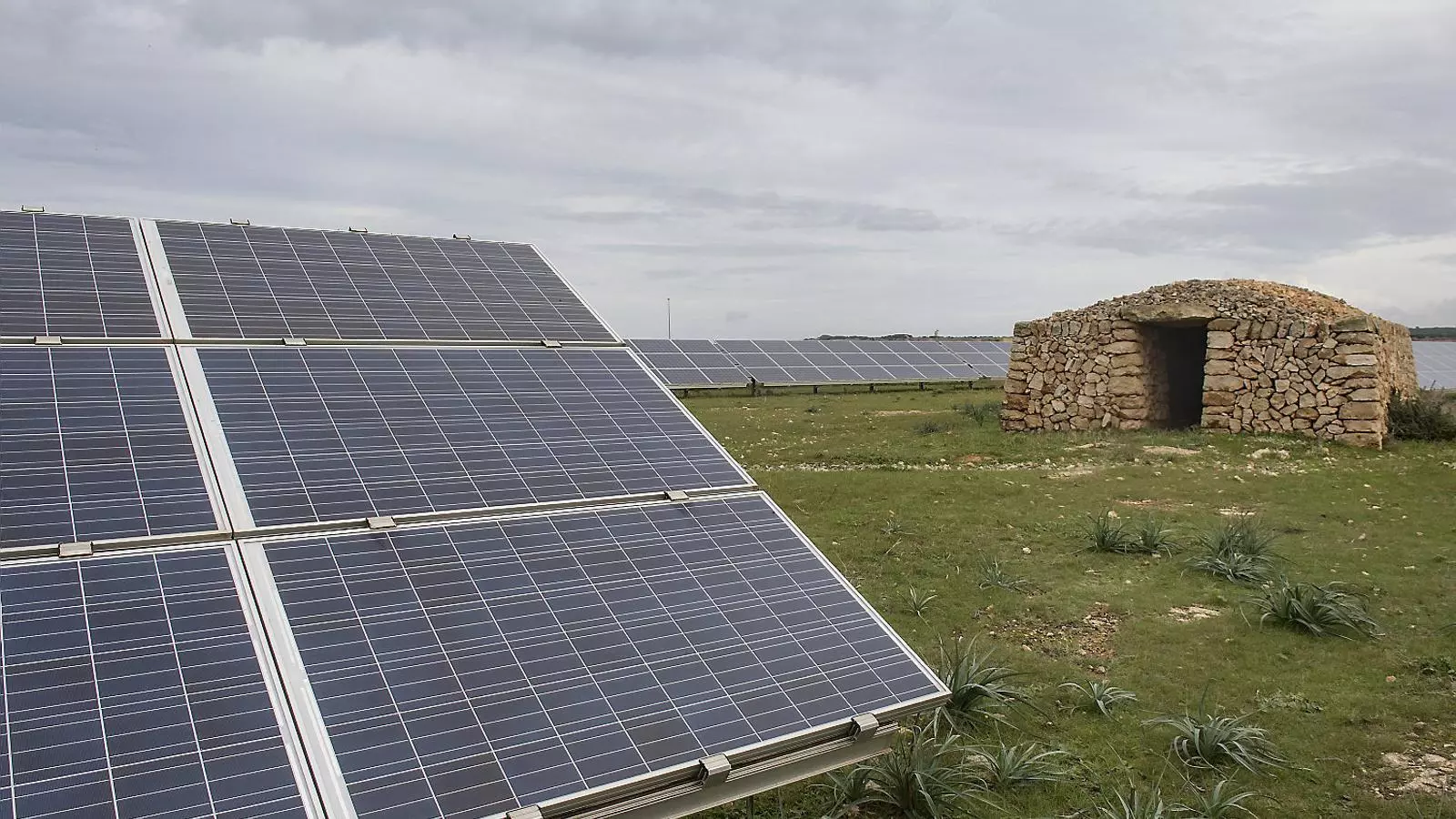 ENERGIES NETES L’empresa promotora de la iniciativa que convertirà Son Salomó en el parc fotovoltaic més important
A les Illes Balears és Ceconat Menorca SL. El projecte d’ampliació inclou l’objectiu de generar el 20% del consum
Energètic de l’illa.