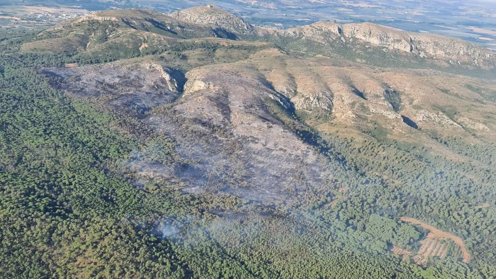 Imatge de la superfície cremada a l'incendi del Montgrí, aquest divendres al matí