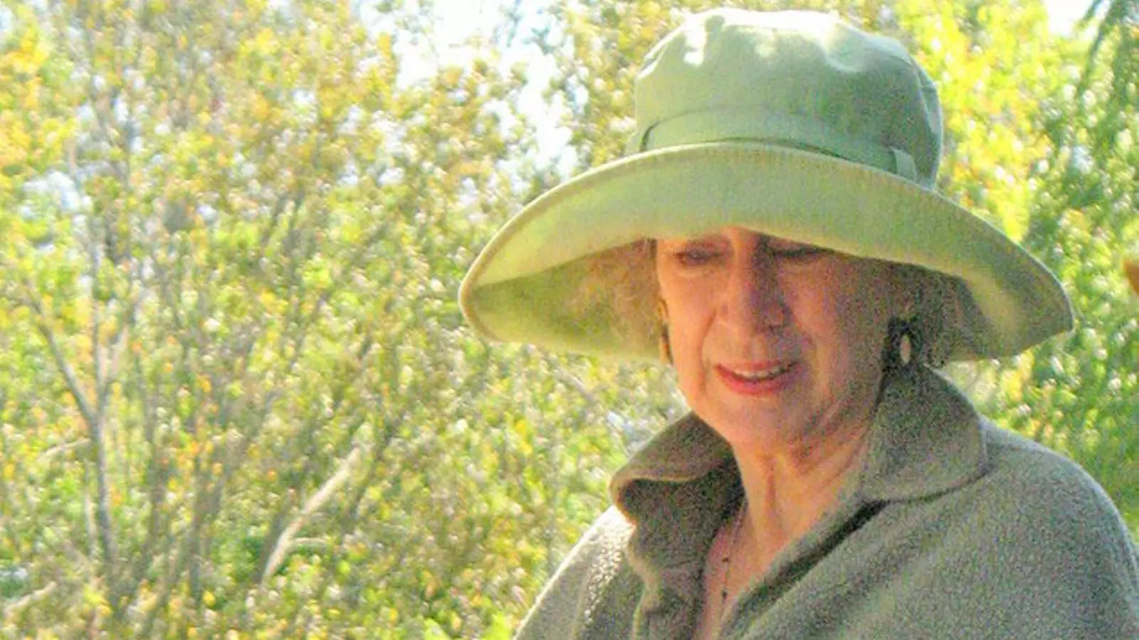 L'escriptora canadenca Margaret atwood/ Viquipèdia