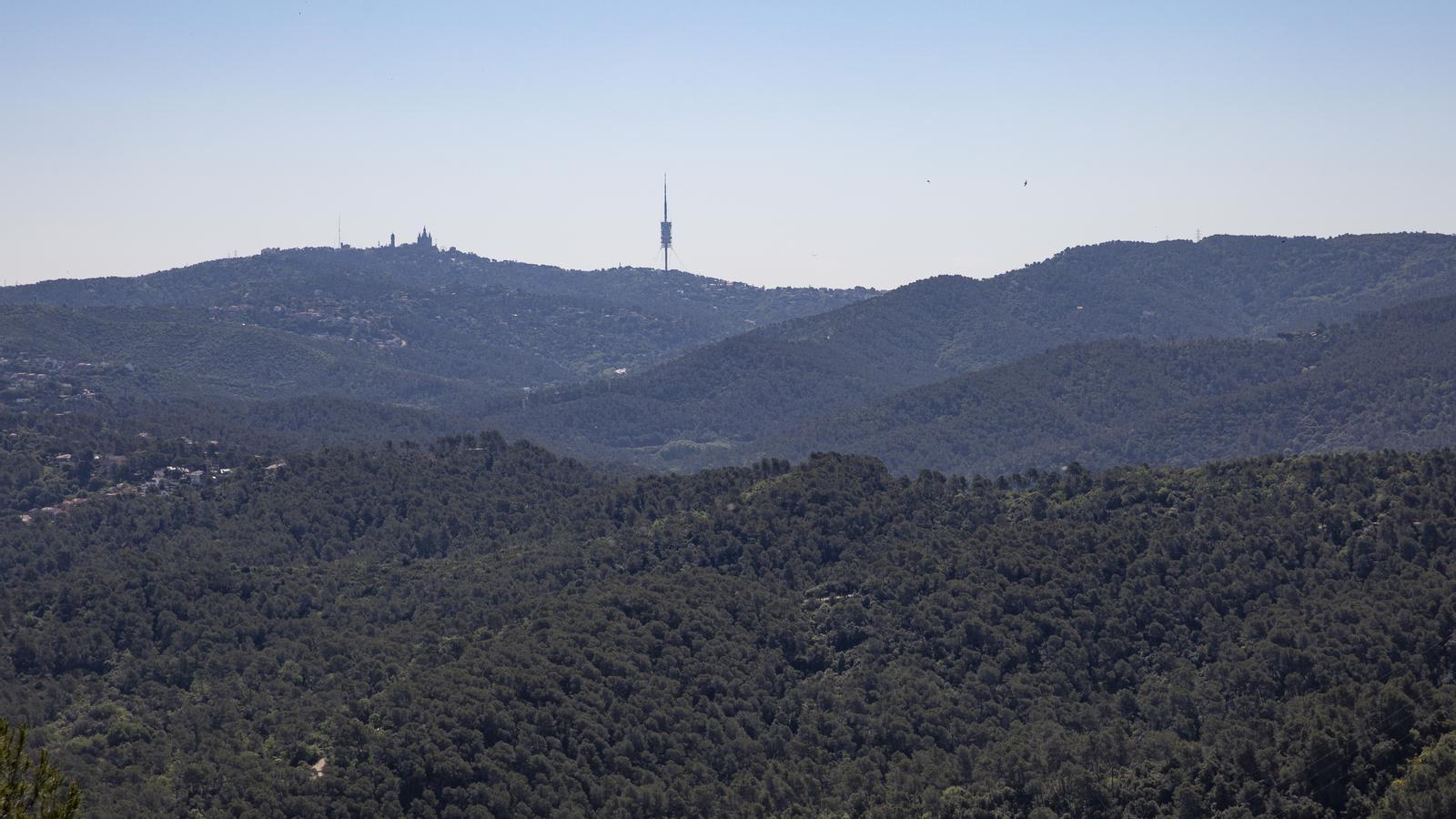 View of the Collserola Natural Park.