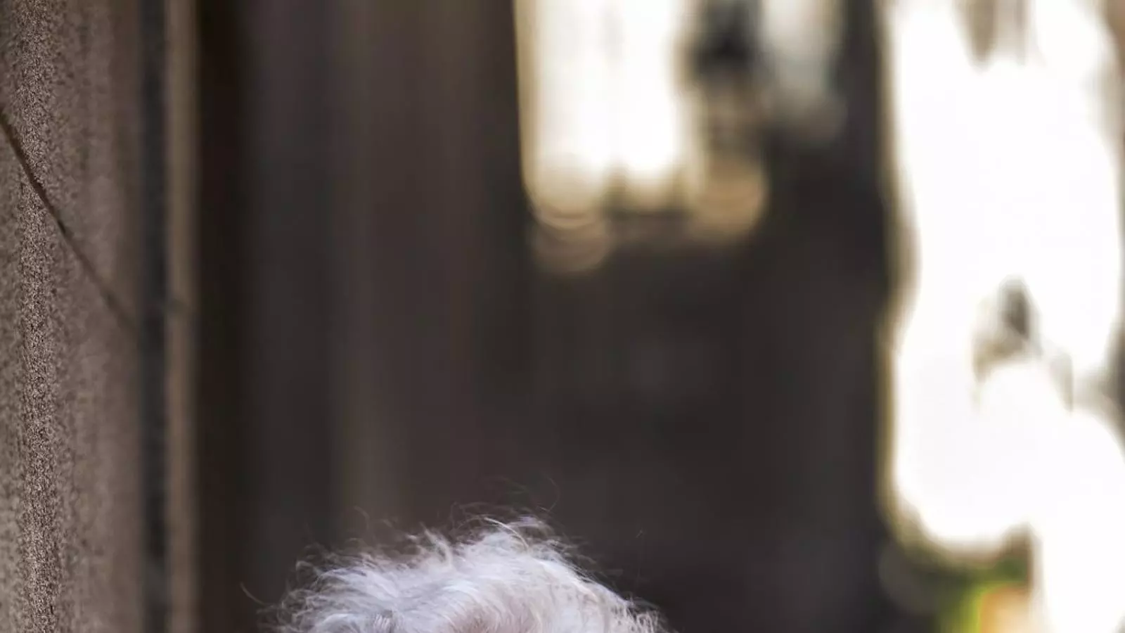 Maria Assumpció Vilà: “Al CIE hi ha persones tancades que no han comès cap delicte”