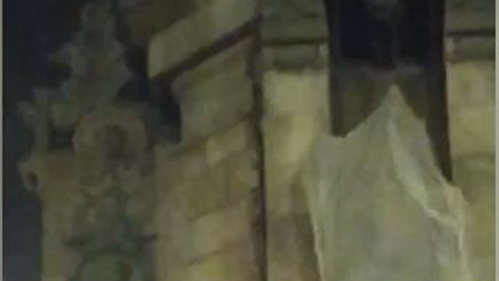 Colom cremat