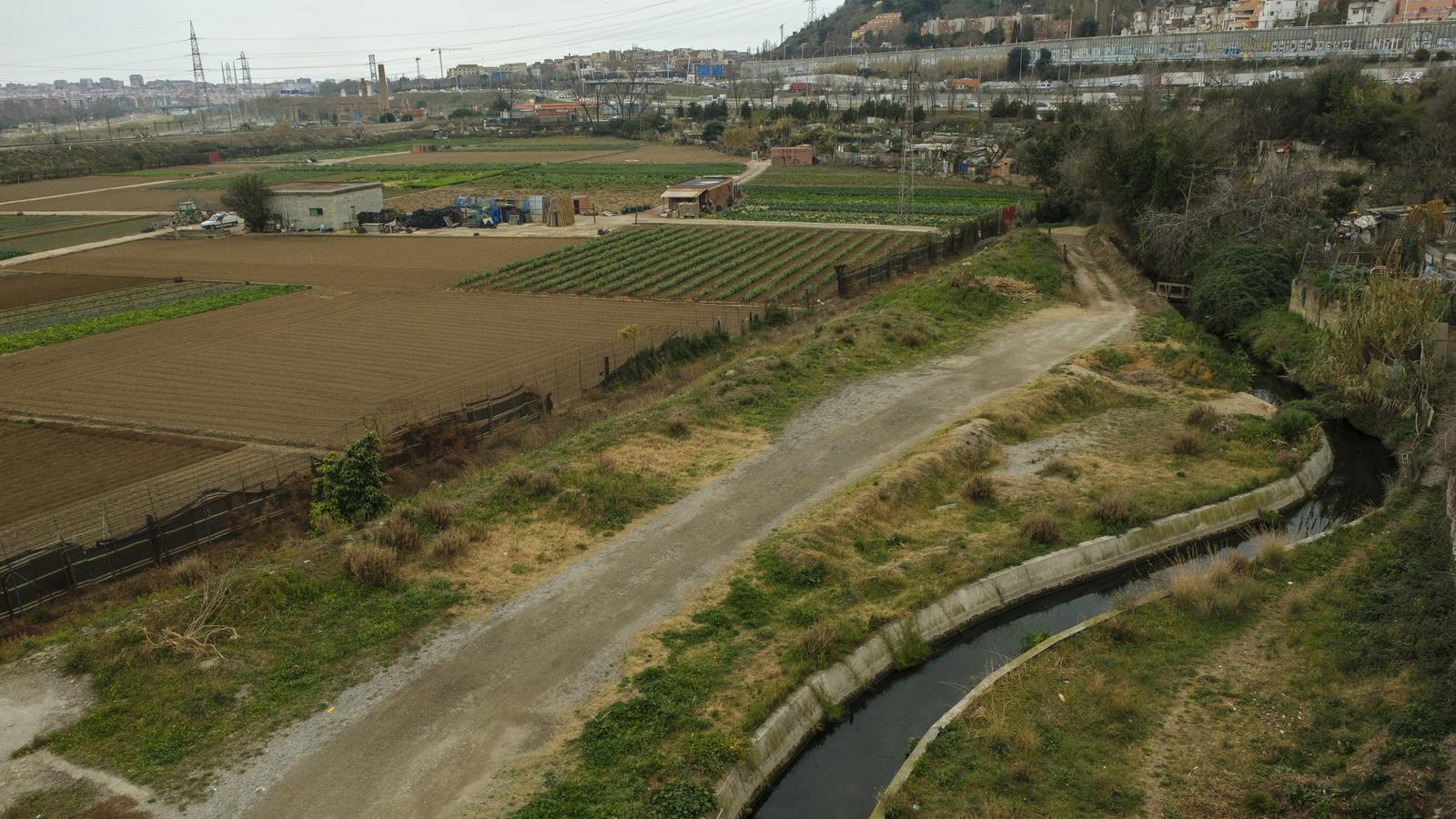 The vegetable gardens of La Ponderosa in Vallbona, in an archive image.