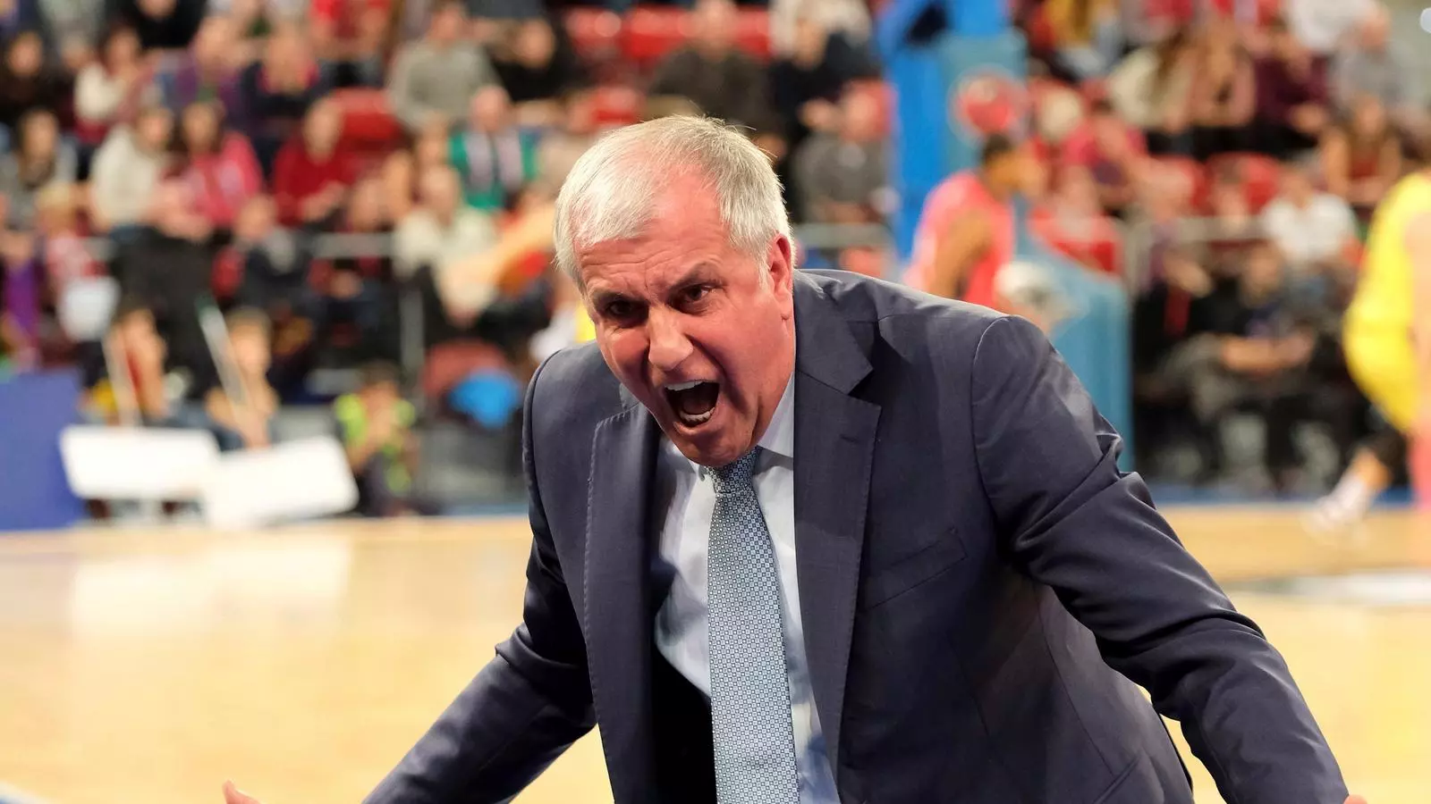 Zeljko Obradovic