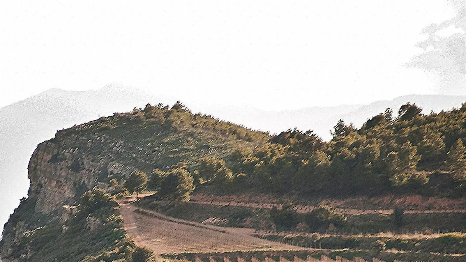 Vinyes sobre terrenys argilosos i calcaris en alçada a la DO Montsant.