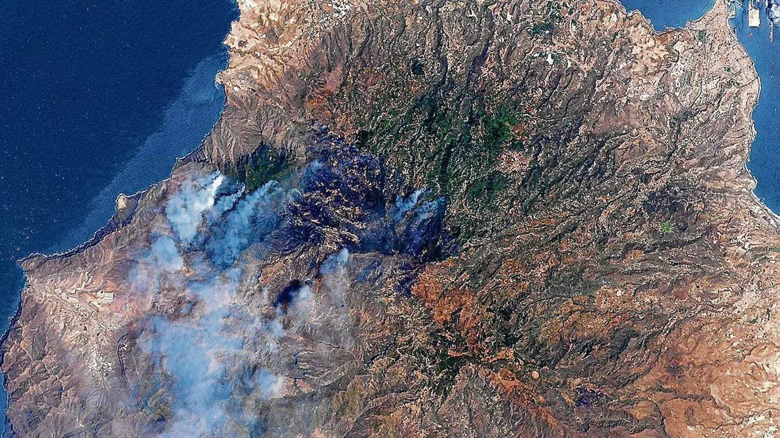 “Guanyarem
Aquesta bèstia”