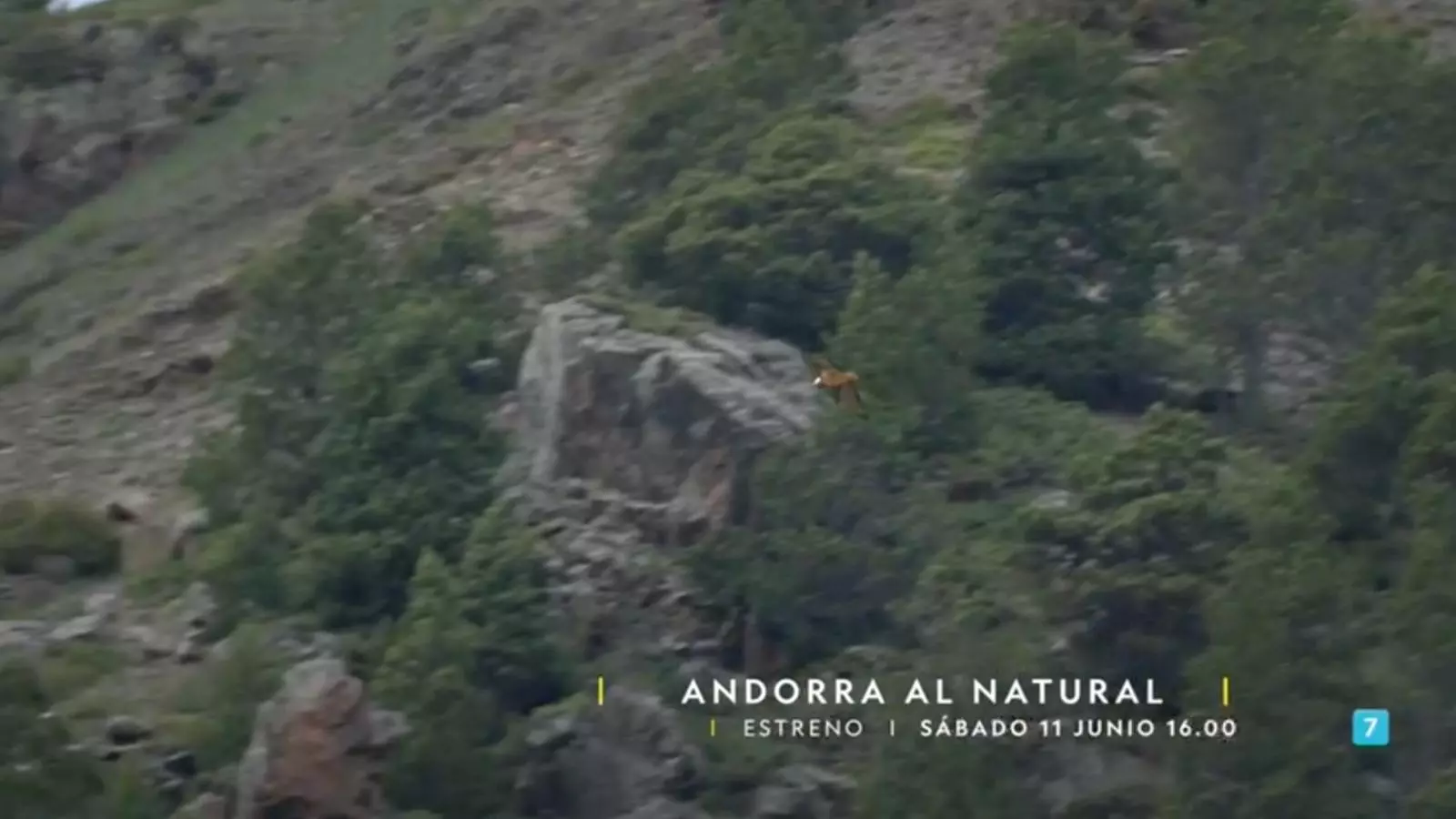 Un instant del documental.