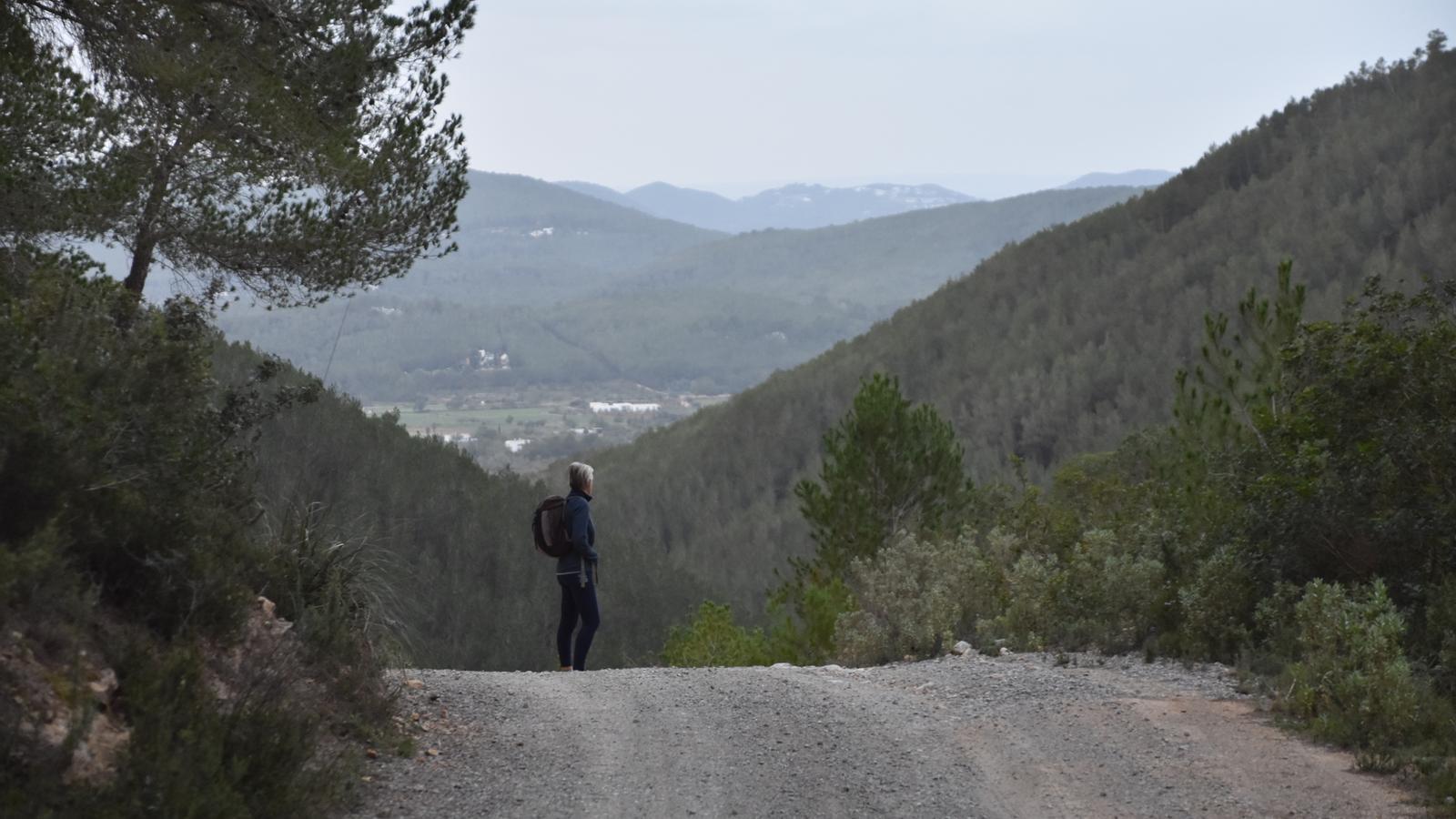 Bella panoràmica del pla de Morna des del camí del Forn del Saig, entre els pendissos de la Mala Costa.