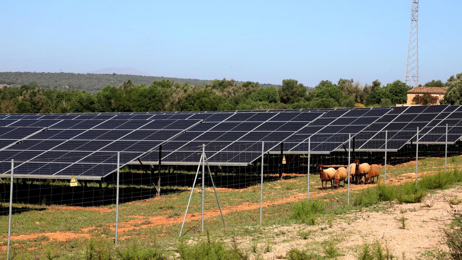 En Baleares existen 76 centrales fotovoltaicas operativas, que ocupan 412 hectáreas de suelo rústico.
