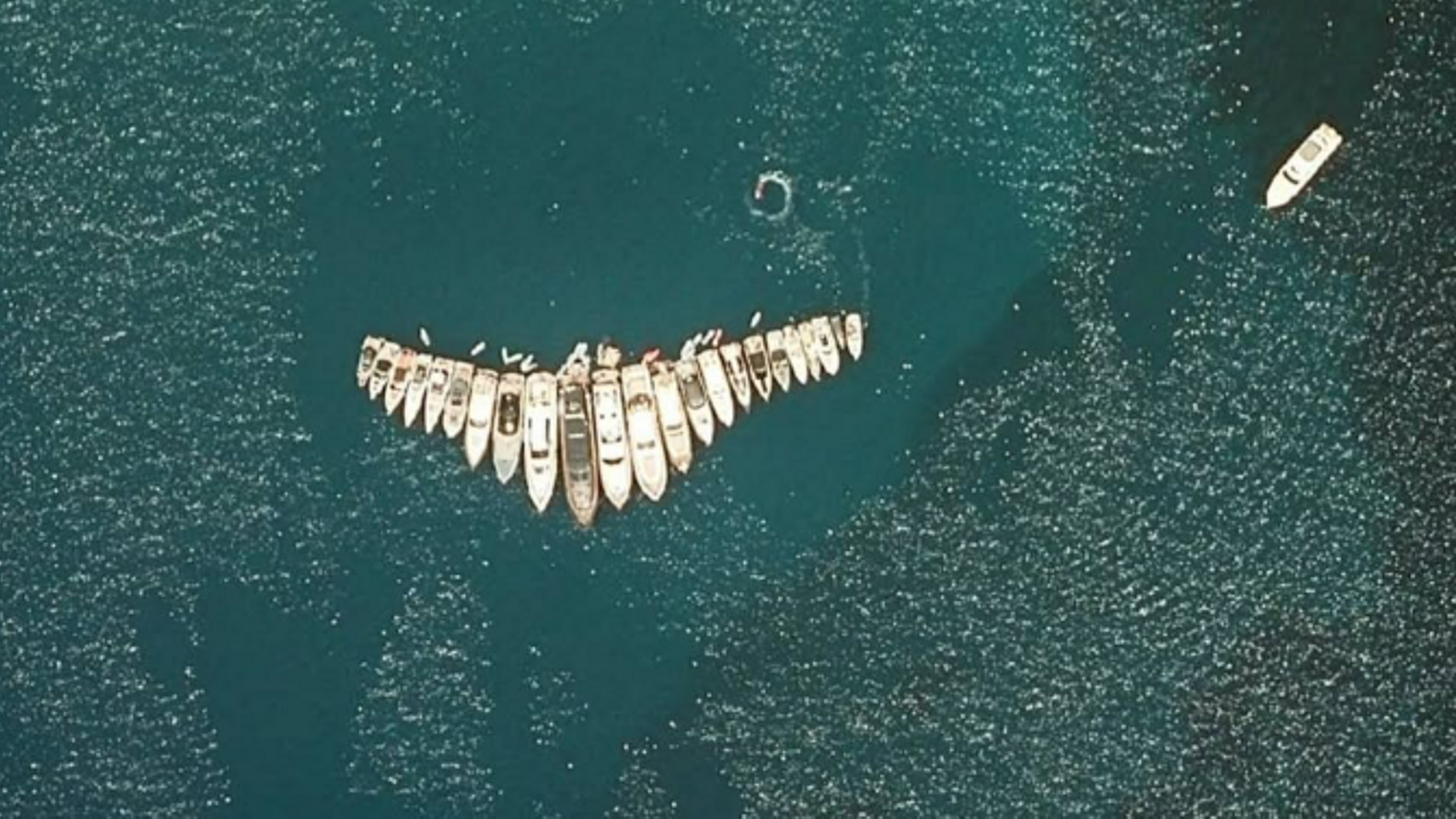 Imatge captada des d'un satèl·lit on apareixen desenes de barques fondejades una vora l'altra