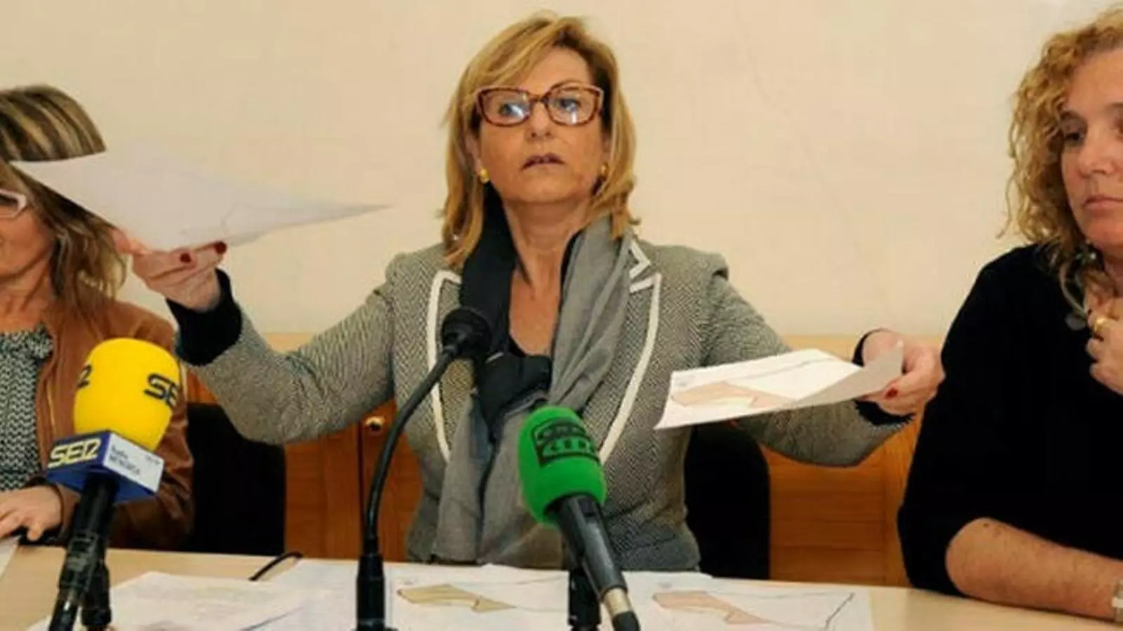 Sugrañes ha acusat a la titular de Benestar Social i Família de mentir i demana la seva dimissió.