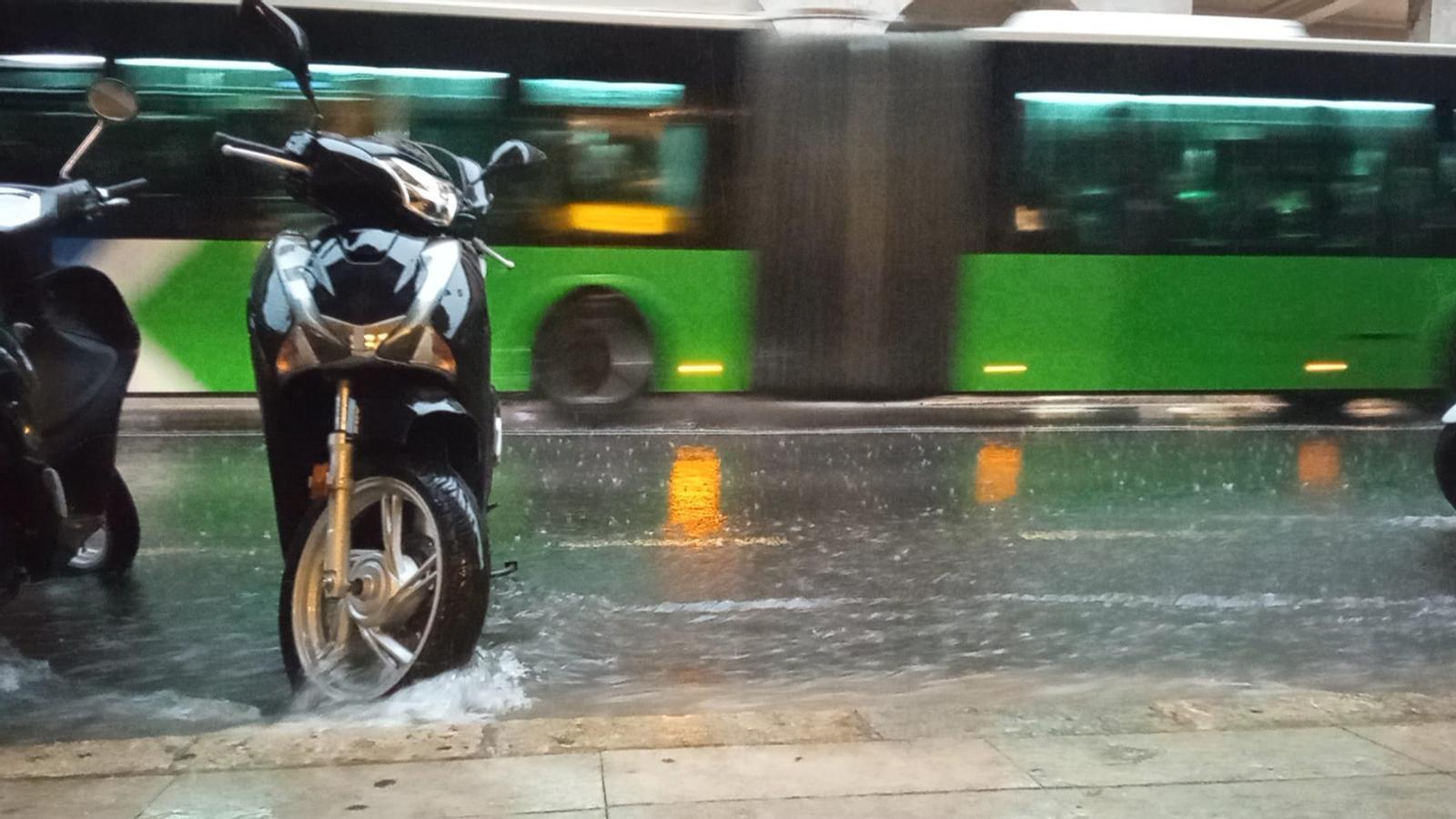 Lluvia en Palma.