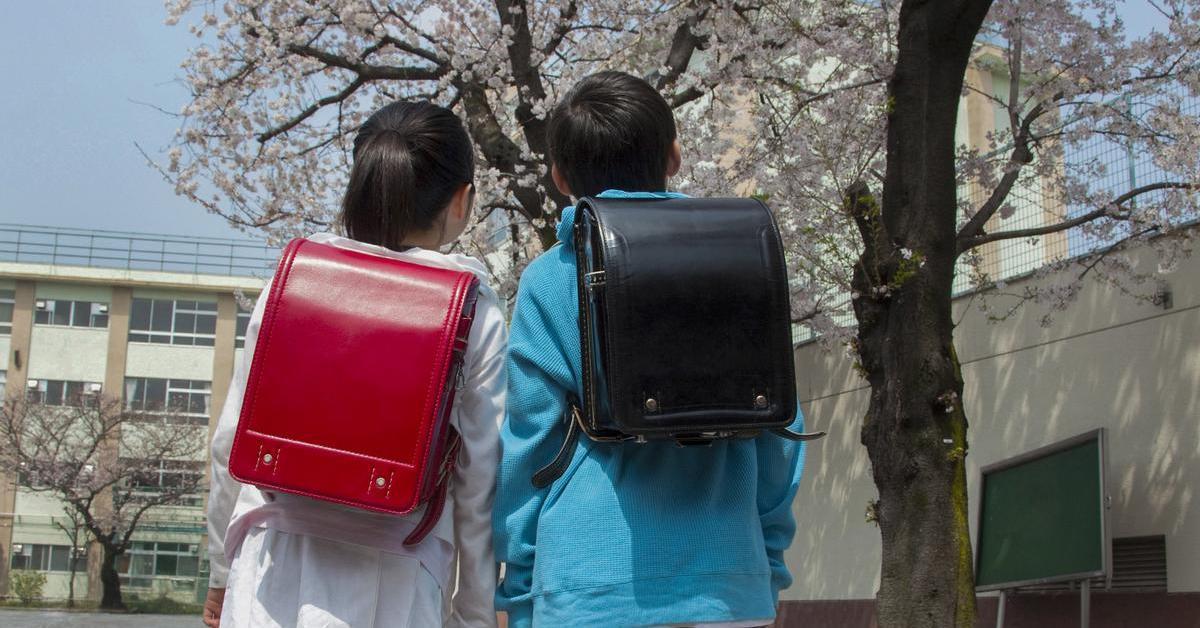 El bullying i el suïcidi juvenil es converteixen en emergència nacional al Japó

L’absentisme i les acusacions d’encobriment sacsegen escoles i administracions

✍️ Per Josep Solano