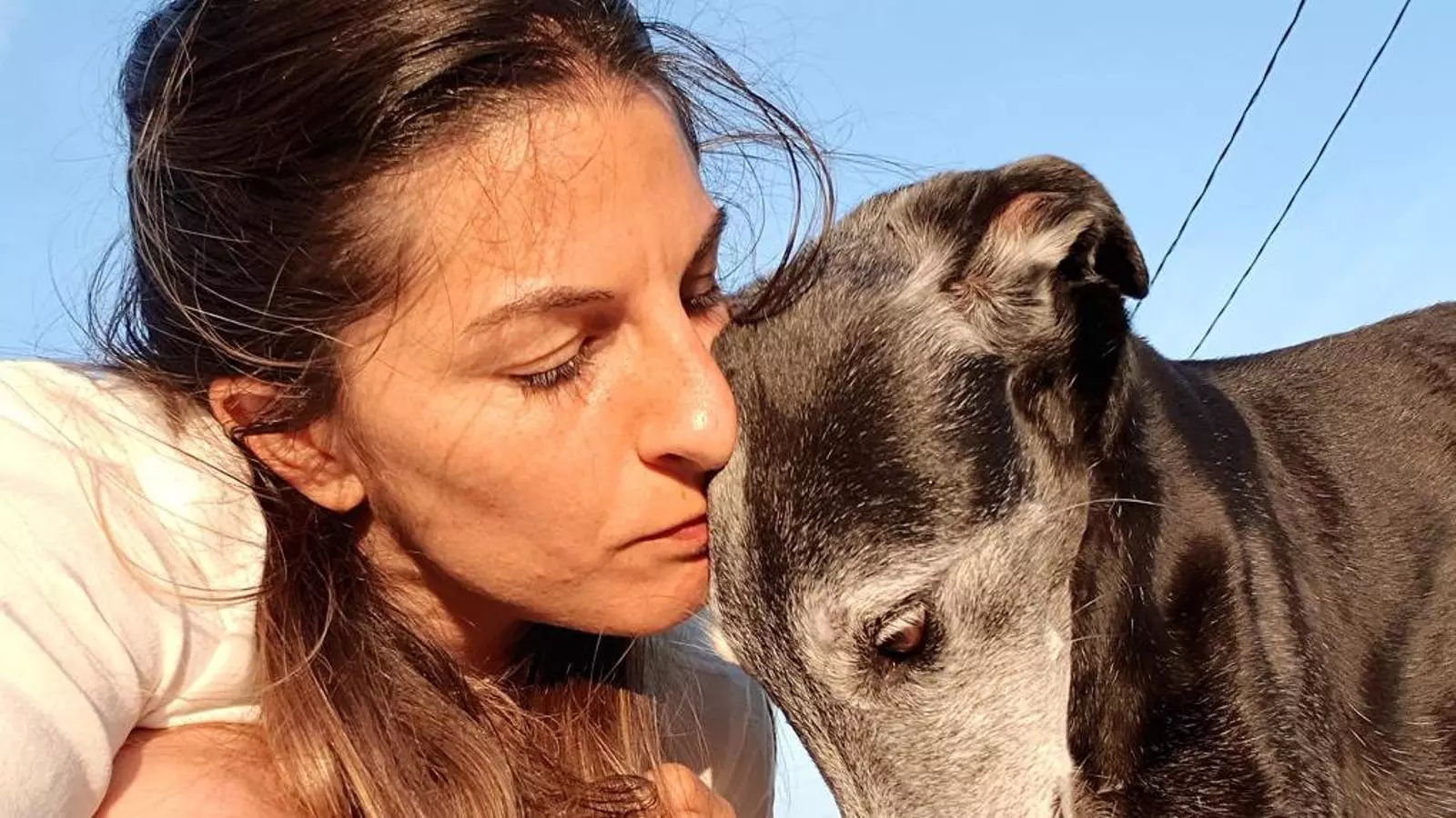 Aïda Gascón, activista animalista “Hem de lluitar pels drets dels animals fins al final”