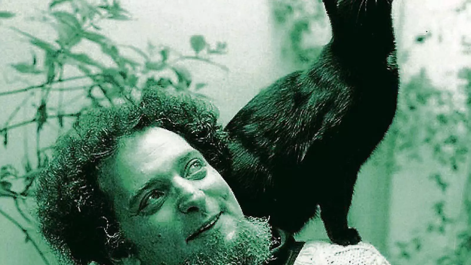 A l’escriptor Georges Perec (1936-1982)
Li agradaven Els reptes lingüístics, les barbes i els gats.