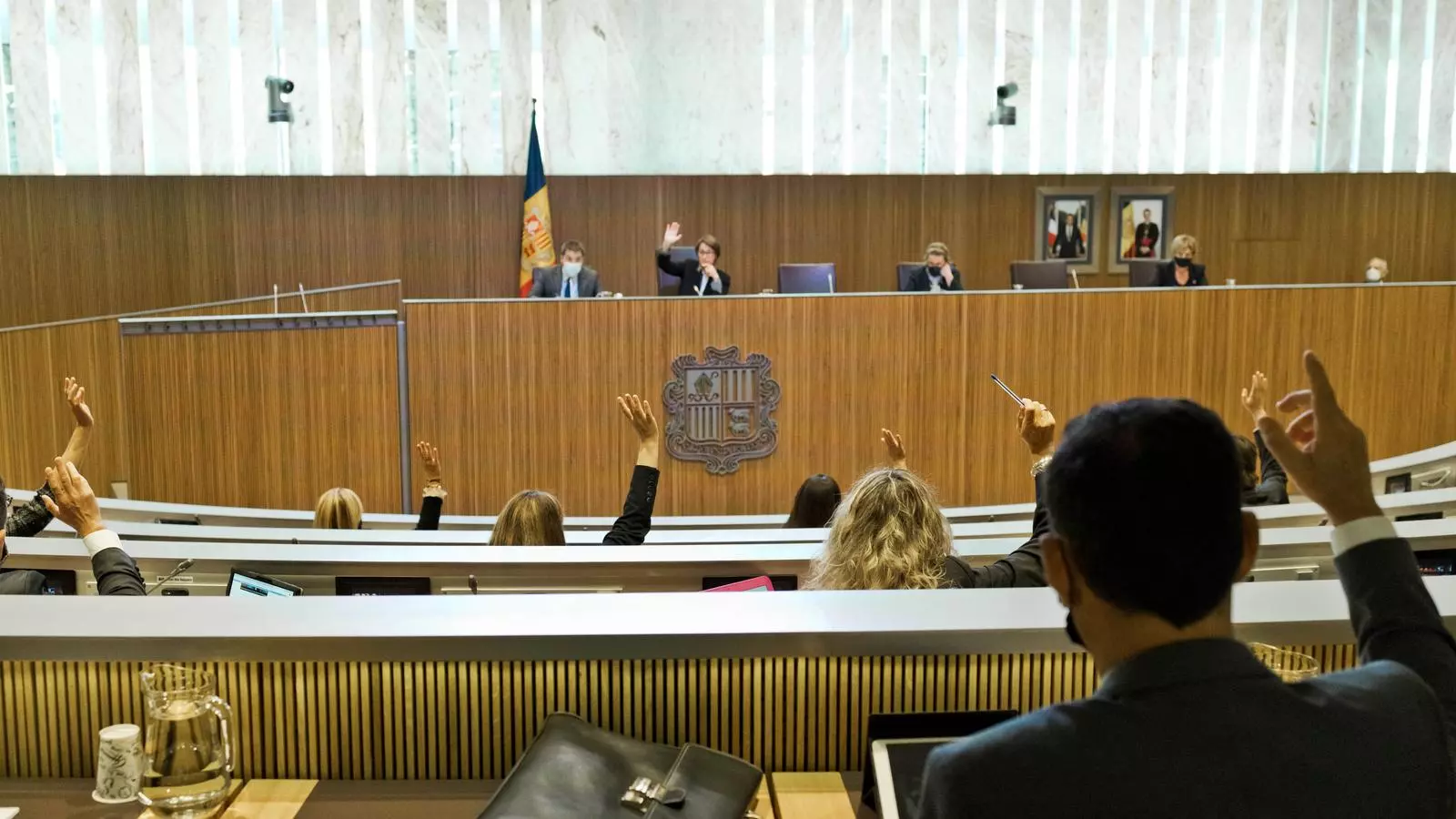 Votació al Consell General, aquest dijous