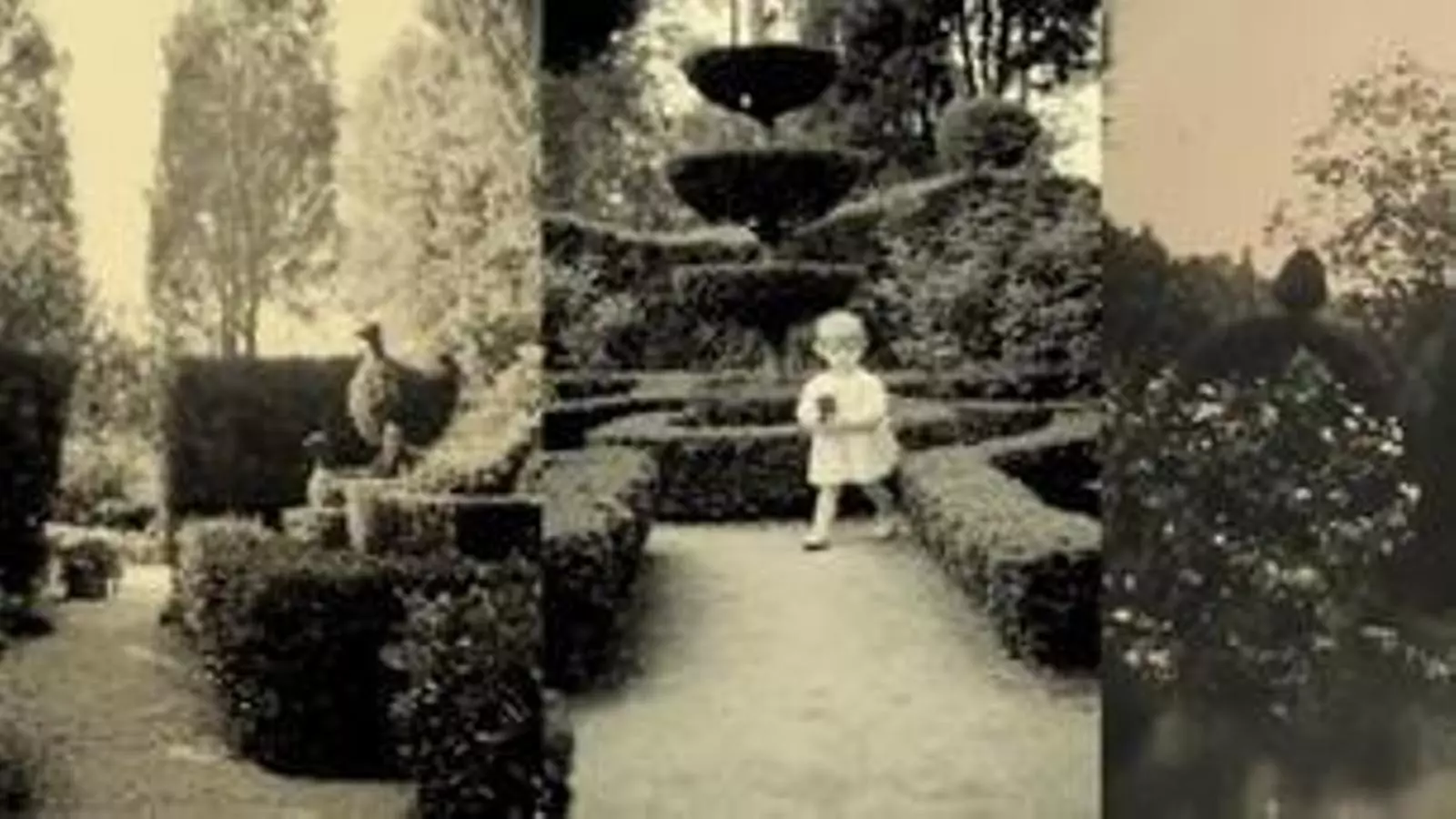 'Un jardí inspirador'