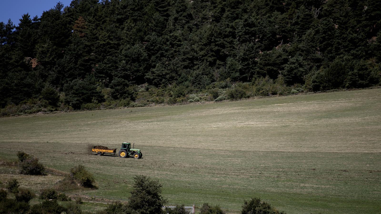 Cultivated fields in La Cerdanya.