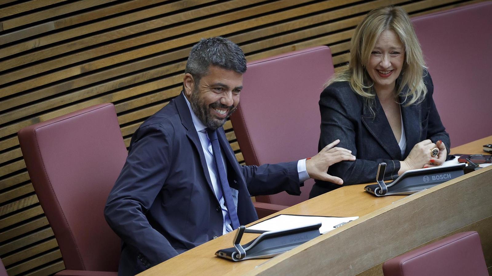 L'excap del Consell Carlos Mazón aquest dimecres al Parlament valencià.