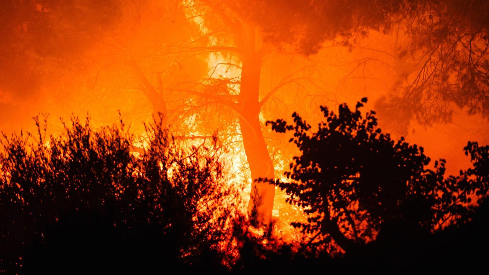 The fires that affect Greece, as they pass through Livadostratas, in the region of Boeotia.