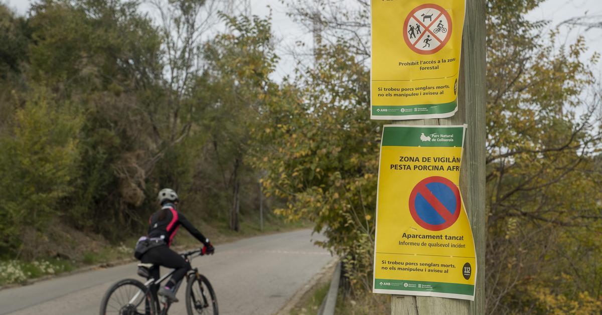 Plague Origins: Zone Zero Explained