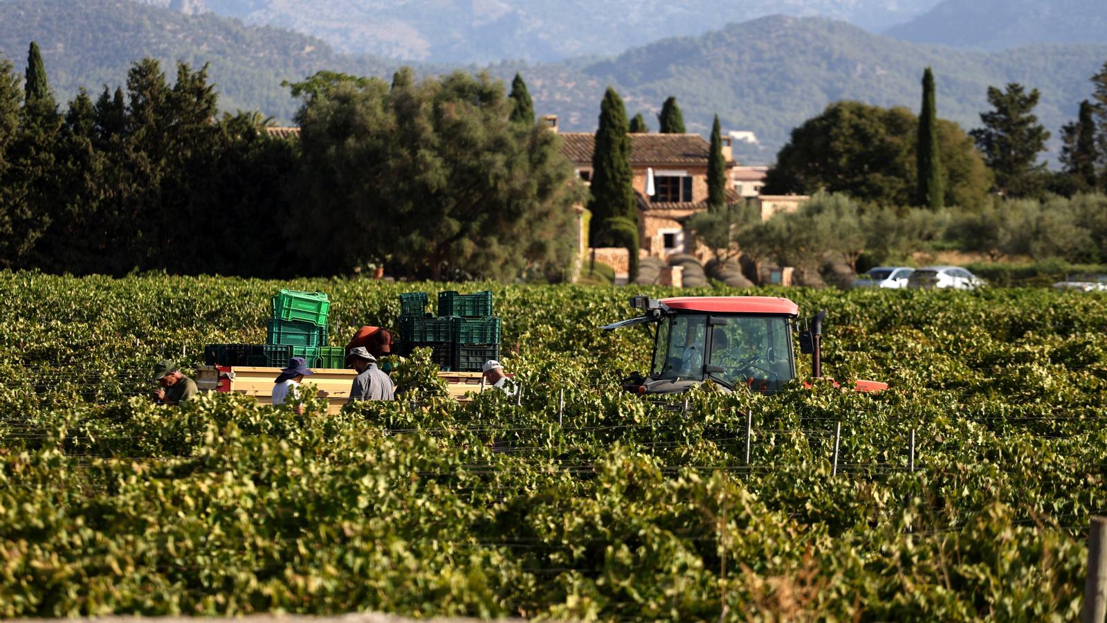 The GOB asks that the strategic character of agriculture be recognized and that rustic land no longer be urbanized.