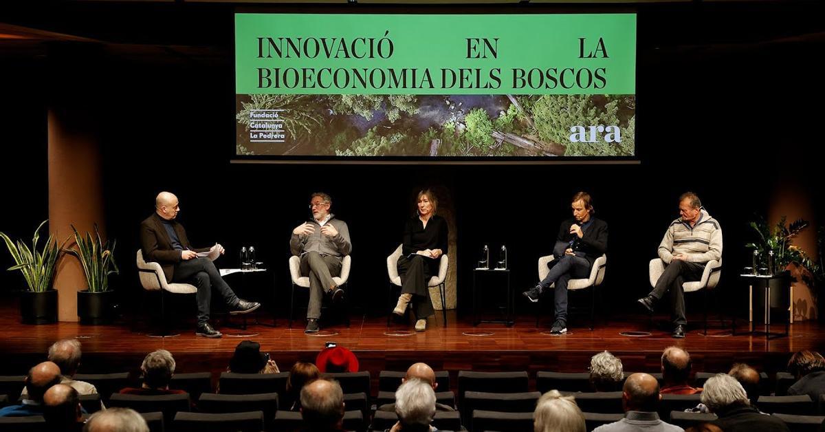 La gestió forestal, clau per a la descarbonització