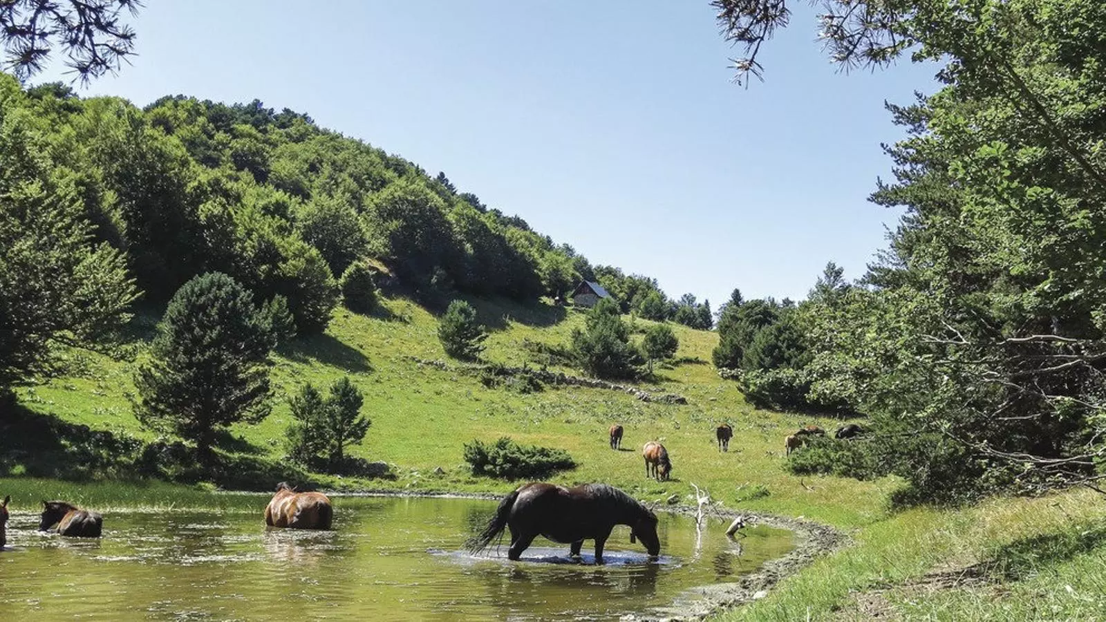 Aquest estiu, l’ecoturisme et torna a la natura