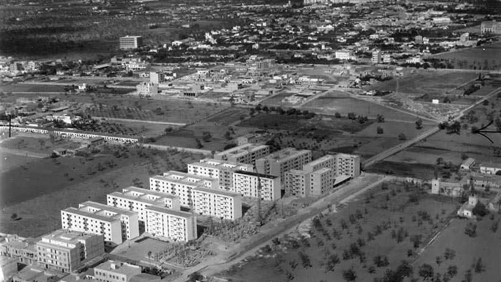 Aerial photograph of Son Gotleu.
