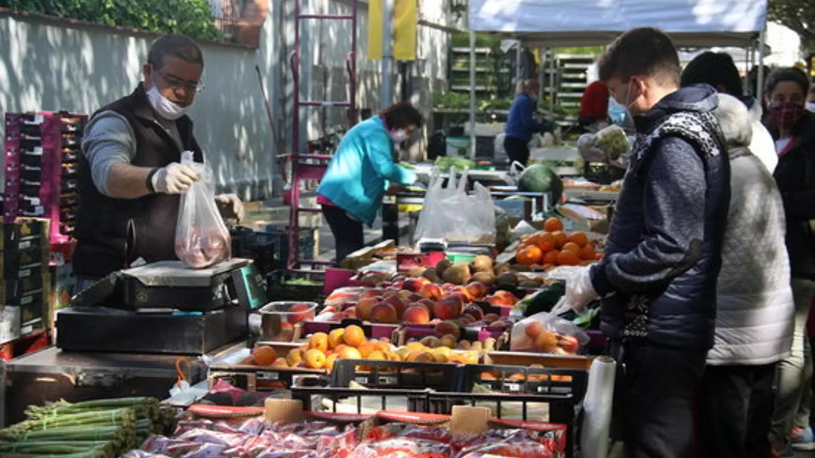 Parada de fruita al mercat. / ACN