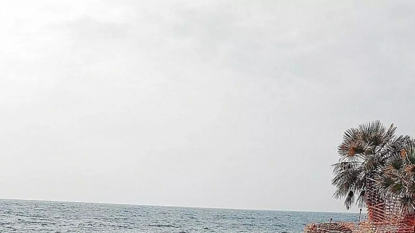 Obres al passeig marítim de Cala Rajada./ GOB
