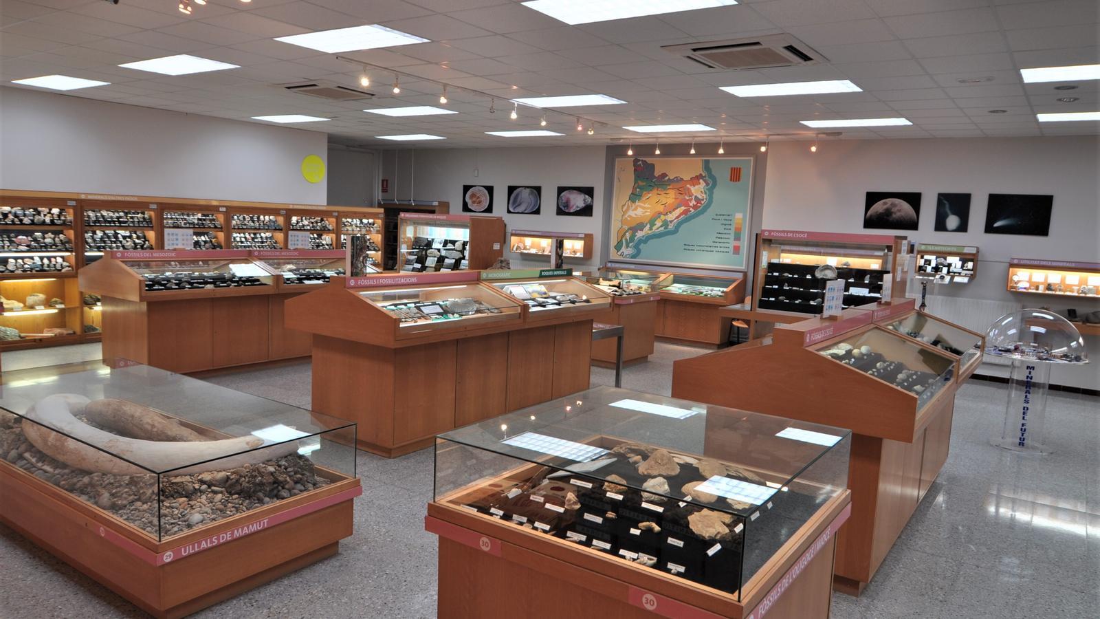El Museo de Geología Valentí Masachs.