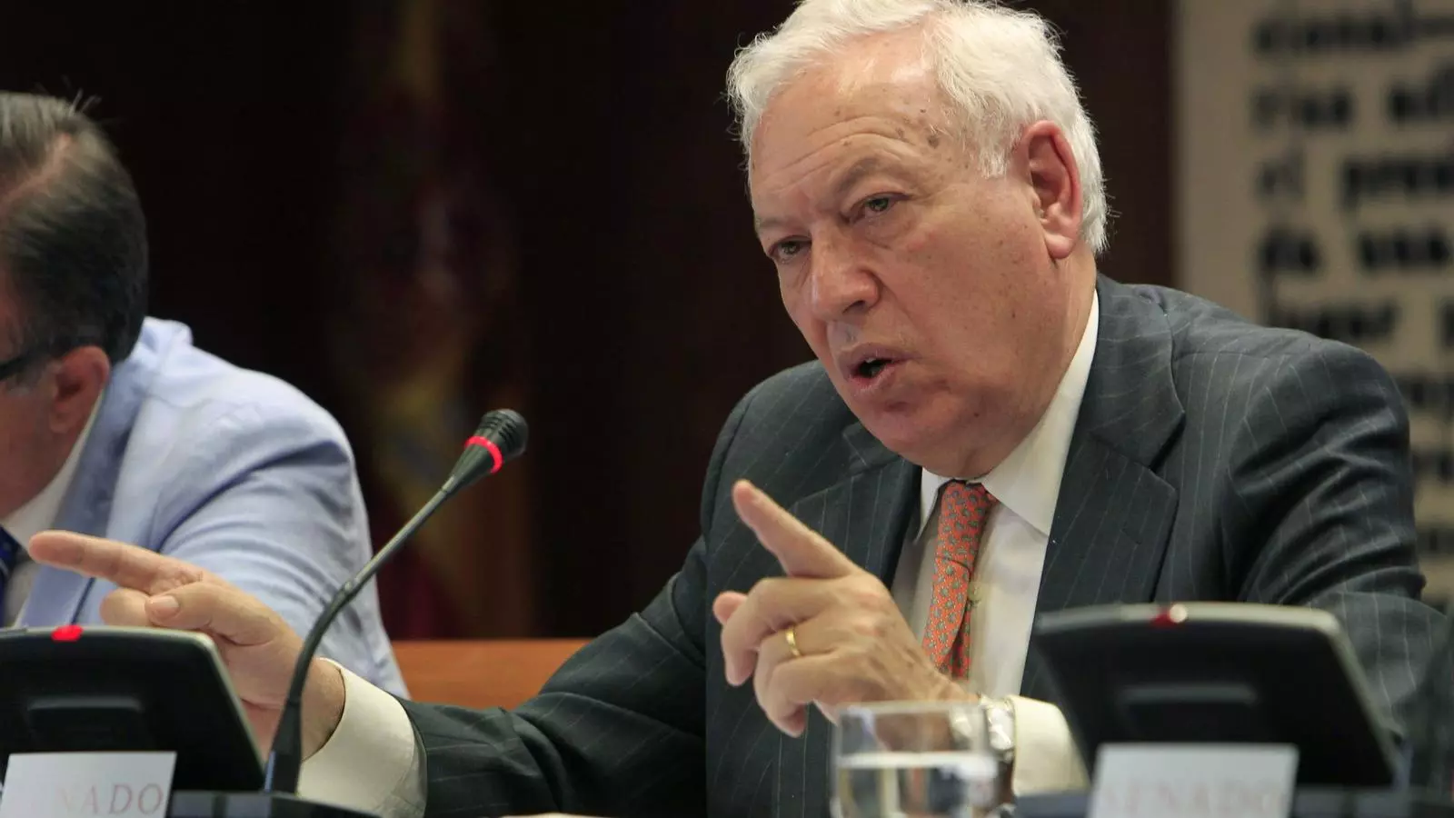 Garcia-Margallo a la Comissió de Cooperació Internacional al Desenvolupament del Senat